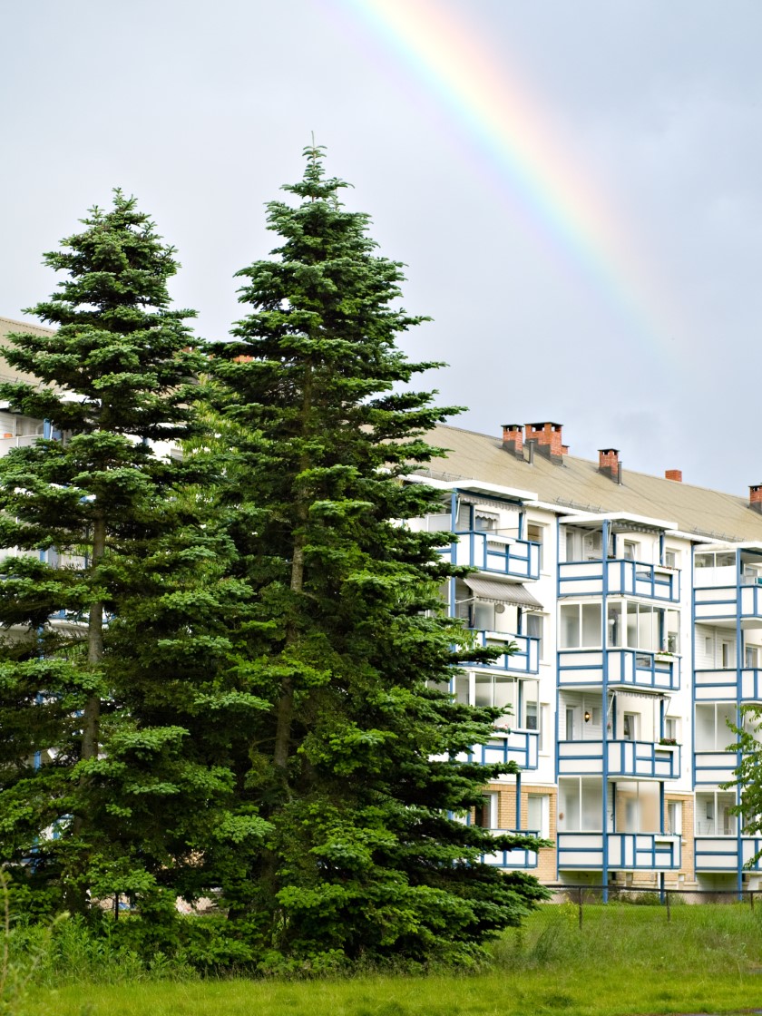 general contractor Lambertseter