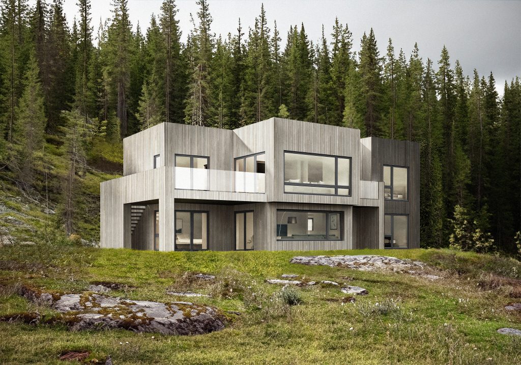 668659fbc16ae513ad15420d hus 15 view a gråfasade skog 180ppi rgb digital